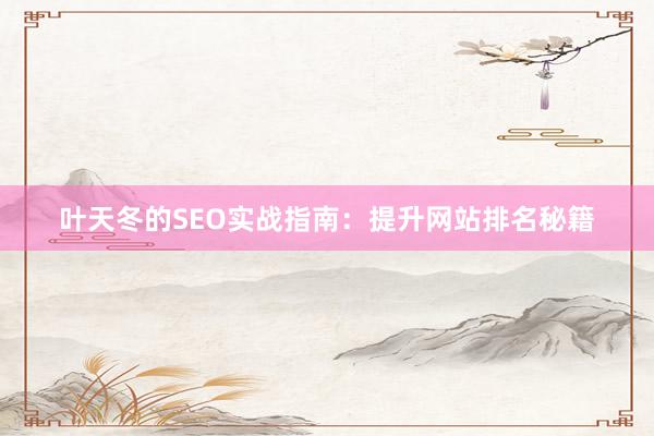 叶天冬的SEO实战指南：提升网站排名秘籍